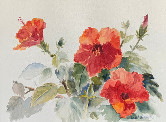 Orange Hibiscus, 8 X 10 watercolor in 11 x 14 mat, unframed