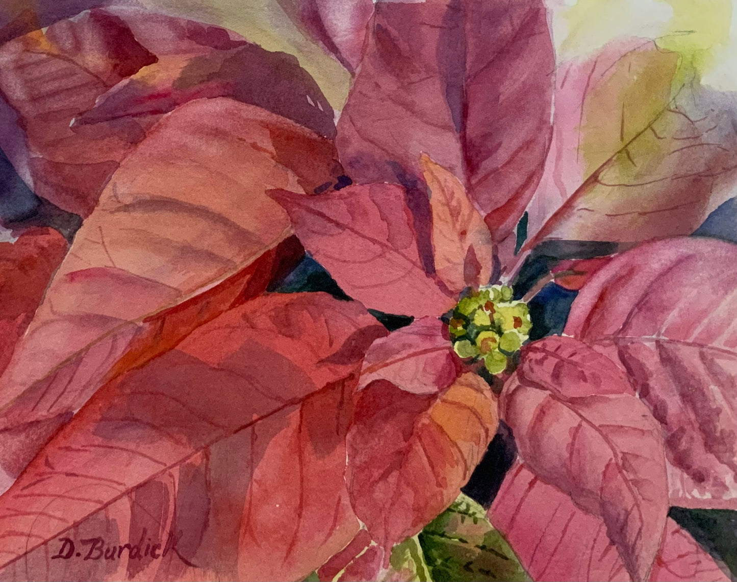 Pink Poinsettia, Watercolor, matted 11 x 14, unframed